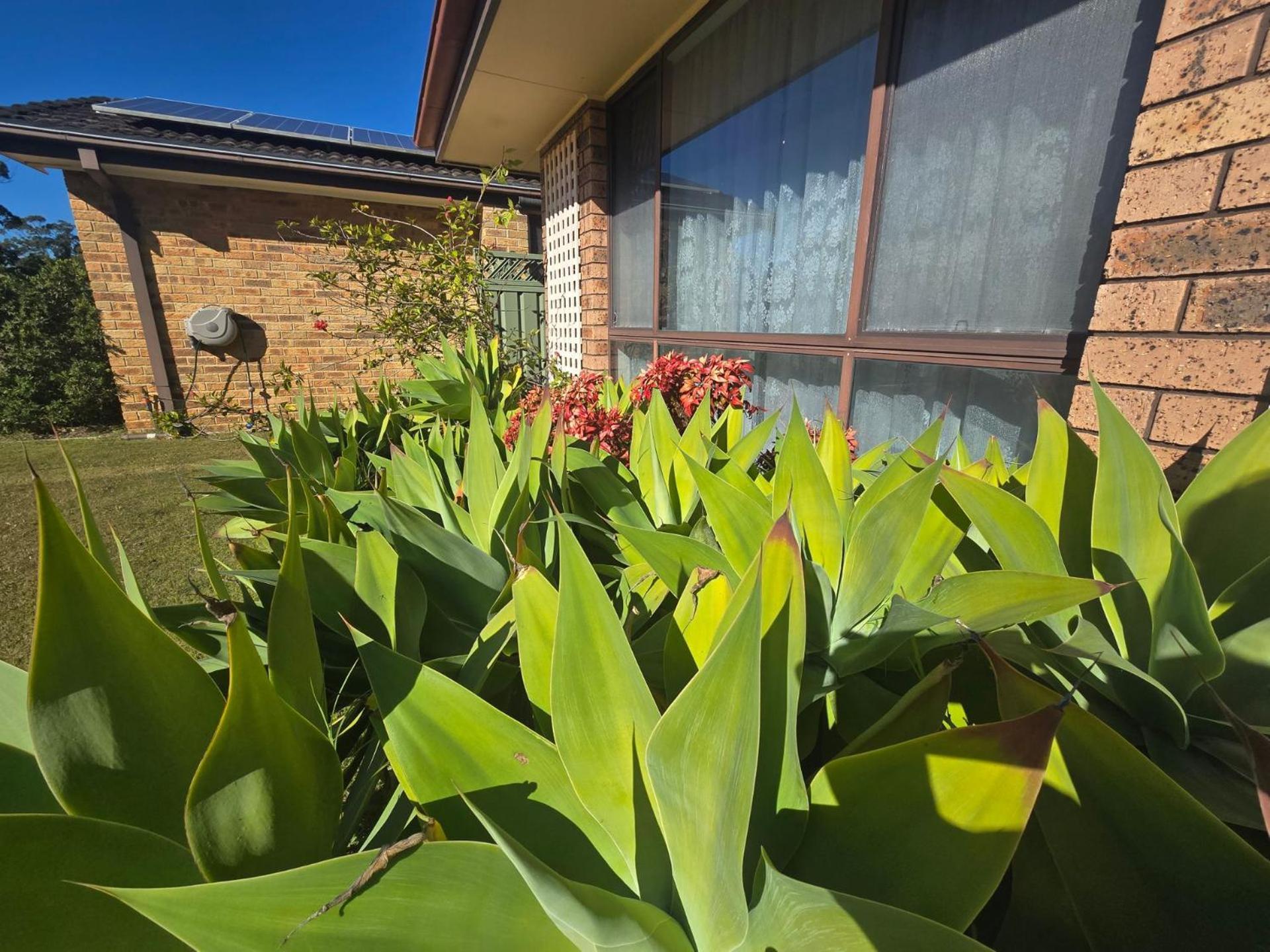 Seascape Macleay Street Villa Narrawallee Exterior photo